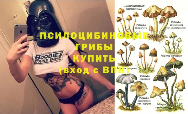 PSILOCYBIN Волосово