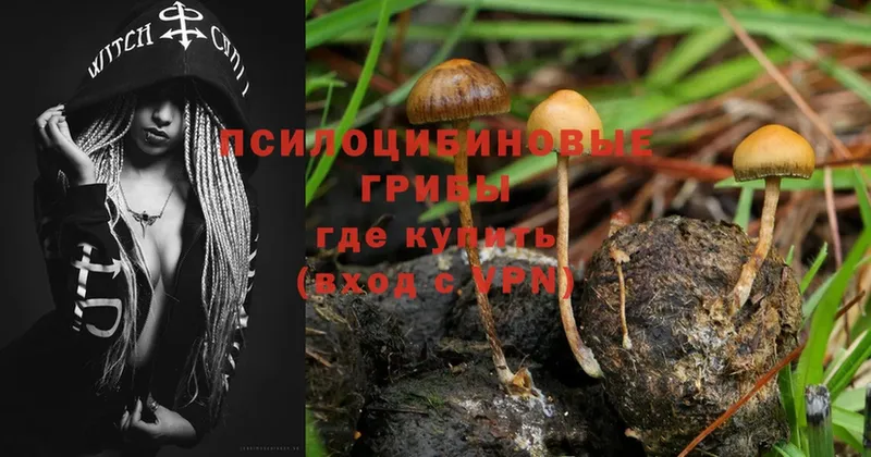 Галлюциногенные грибы Magic Shrooms  дарк нет клад  Алушта 